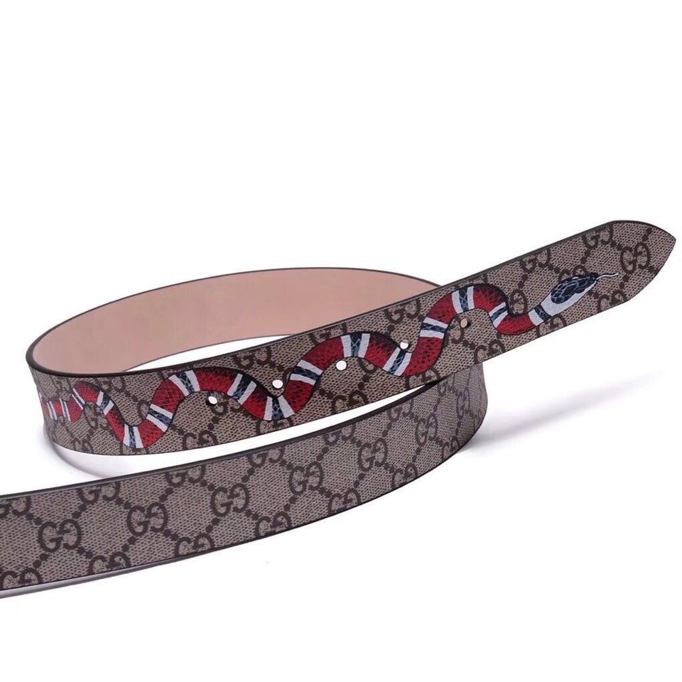 Gucci GG Supreme Belt With Kingsnake Print YSL DSQUARED2